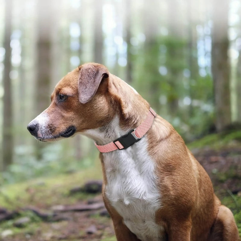 Woven Padded Dog Collar With Soft Neoprene Lining For Comfort