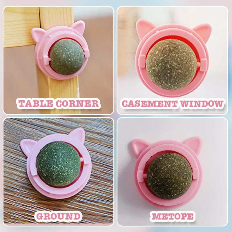 HOCOSHINE Rotatable Catnip Wall Ball Toy For Cats Teeth Cleaning