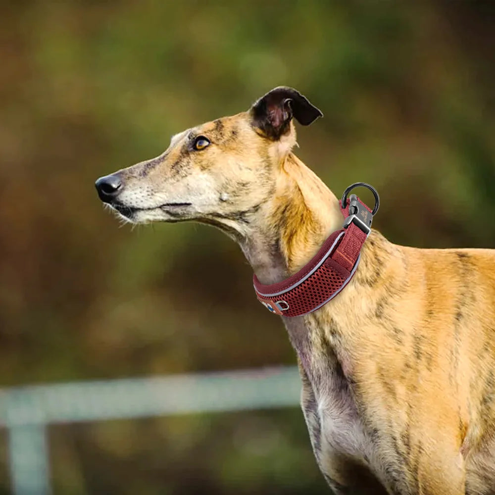 Personalized Breathable Reflective Dog Collar With Free Engraving