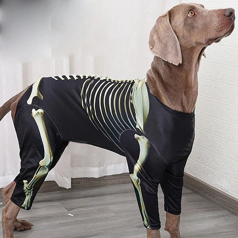 Halloween Skeleton Dog Costume With Comfortable Pet Transformation Outfit