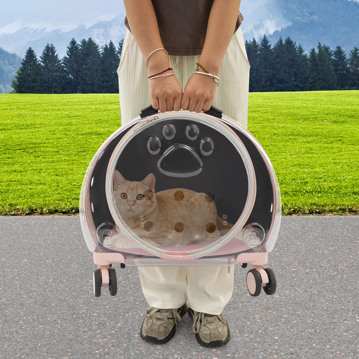 Transparent Pet Travel Carrier Trolley With Telescopic Handle And Wheels