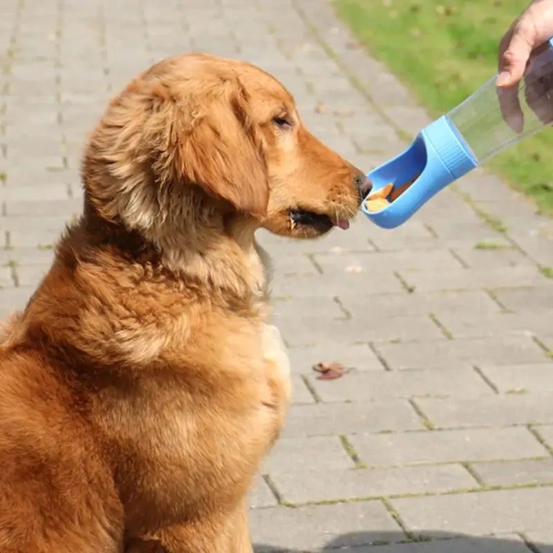 Portable Glass Pet Water Bottle Travel Dispenser With Food Container