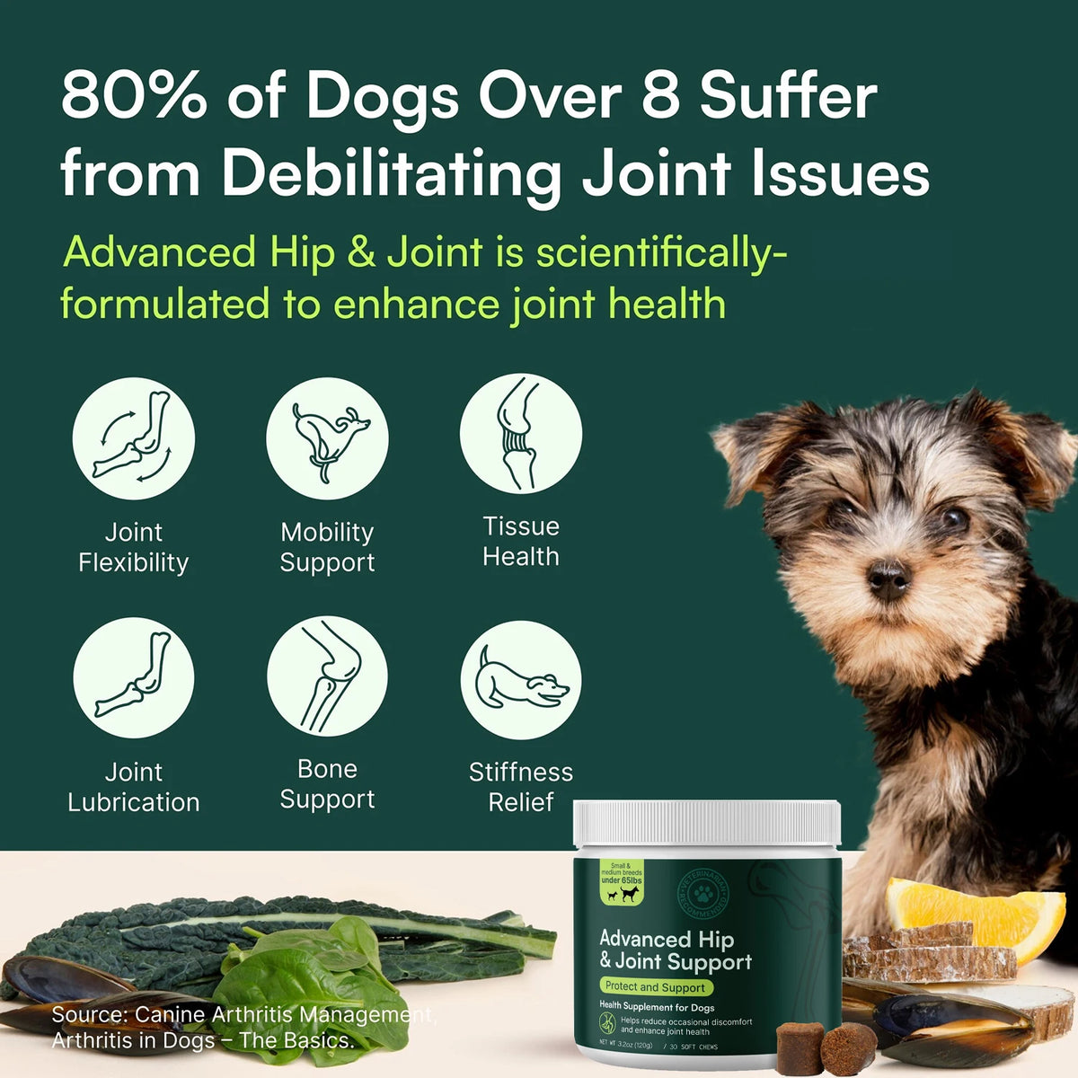LISM Dog Hip And Joint Supplement With Glucosamine Chondroitin