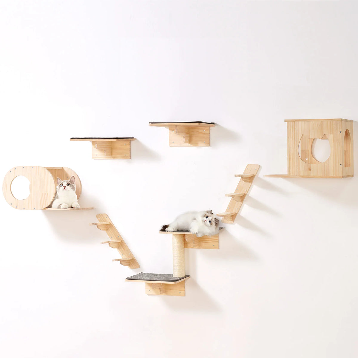 SucceBuy Wall Mounted Cat Shelves With Hammock And Jumping Perches