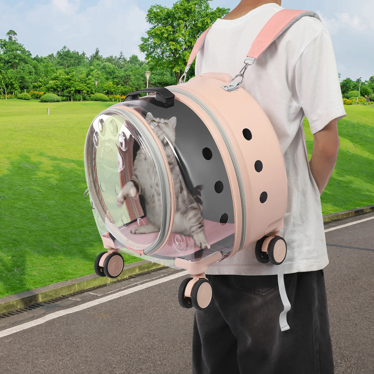 Transparent Pet Travel Carrier Trolley With Telescopic Handle And Wheels