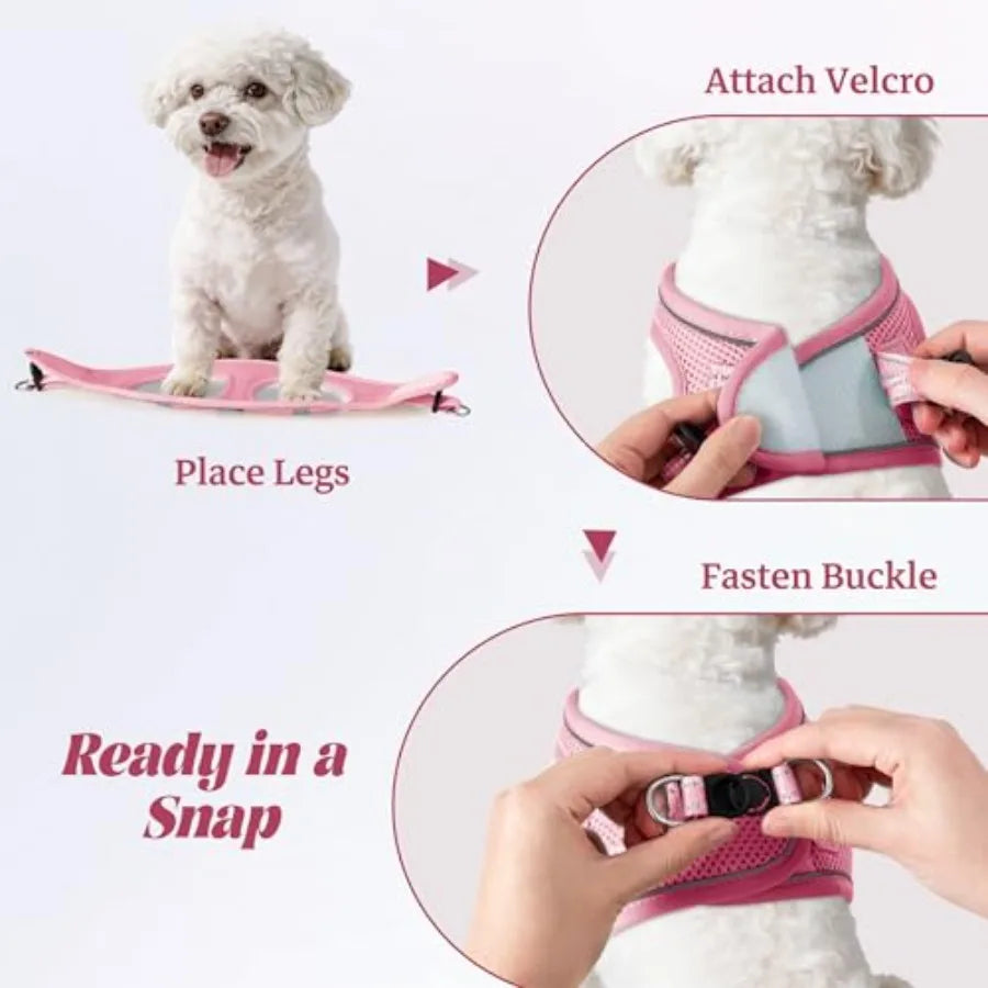 Adjustable Reflective No-Pull Dog Harness and Leash Set for Outdoor Walks