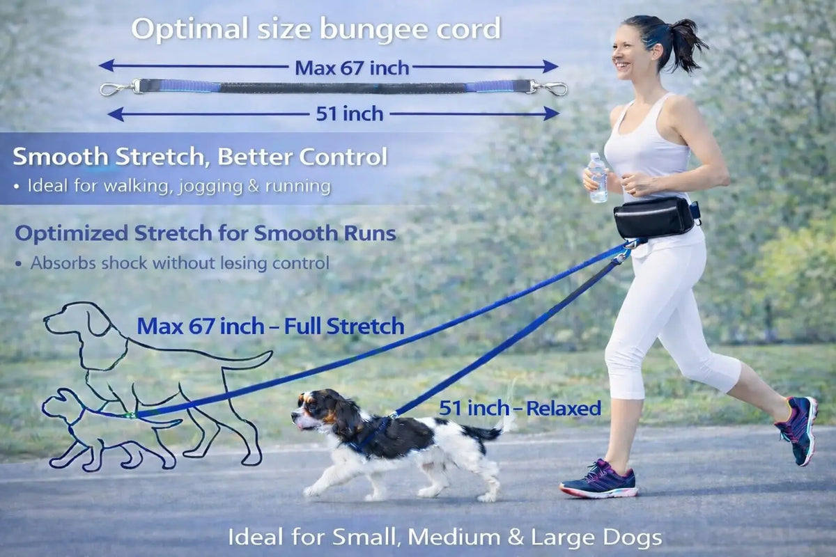 Hands Free Dog Leash With Belt Reflective Stitching And Pouch