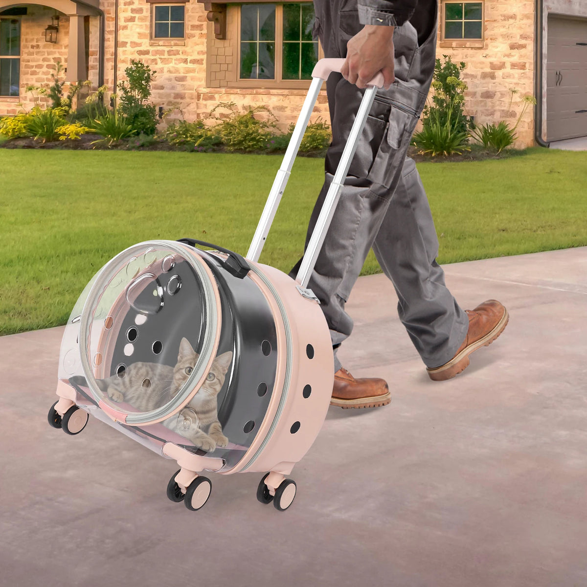 Transparent Pet Travel Carrier Trolley With Telescopic Handle And Wheels