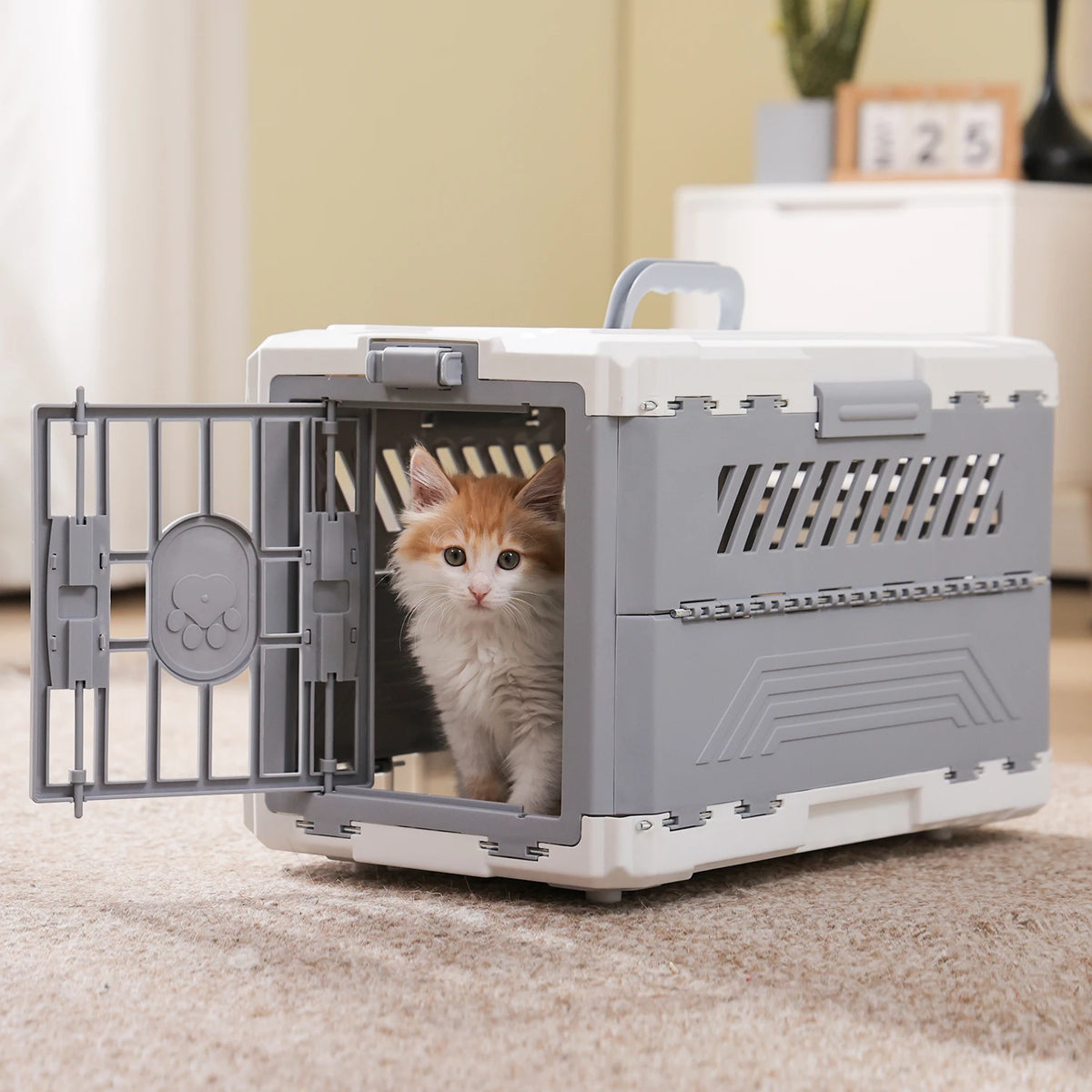 PAWZ Road Foldable Pet Carrier With Secure Lock Gate