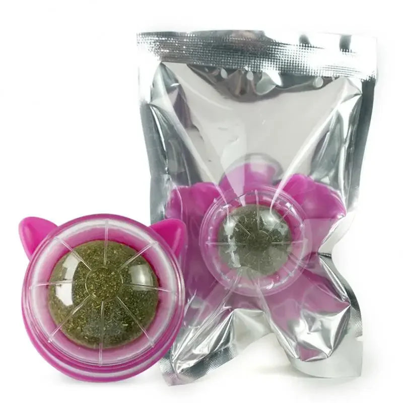 HOCOSHINE Rotatable Catnip Wall Ball Toy For Cats Teeth Cleaning