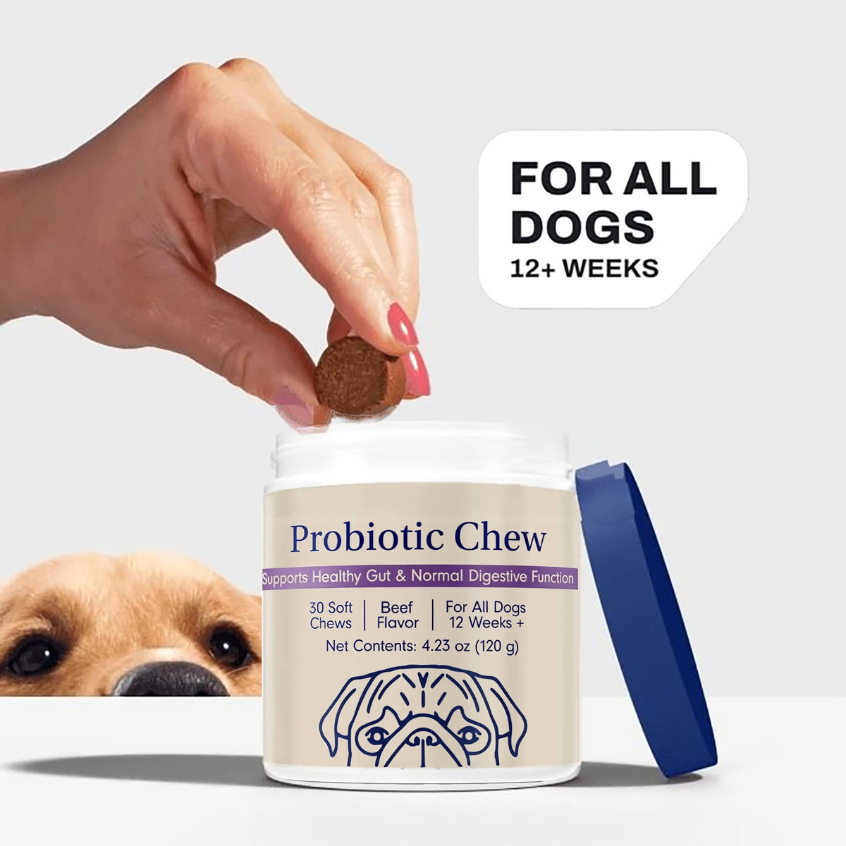 Advanced Dog Probiotic Chews For Comprehensive Digestive Support