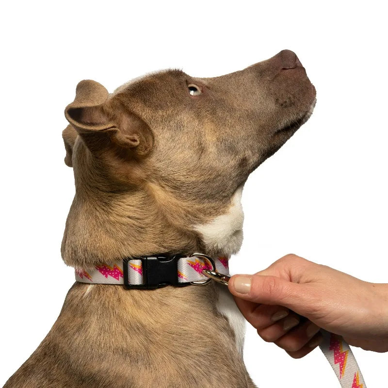 Durable Polyester Lightning Bolt Standard Dog Leash for Daily Walks