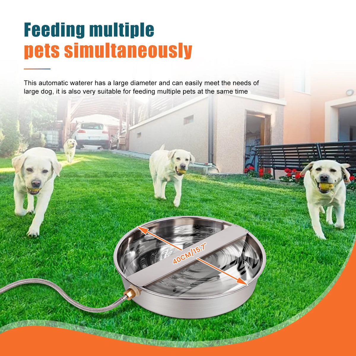 Stainless Steel Automatic Dog Water Feeder Dispenser Bowl