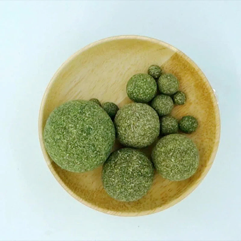 Safe Edible Catnip Ball Toy Promoting Dental Health Through Play