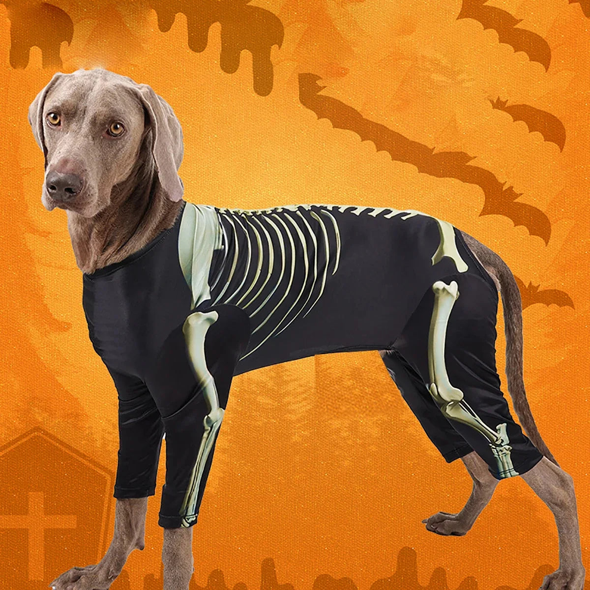 Halloween Skeleton Dog Costume With Comfortable Pet Transformation Outfit