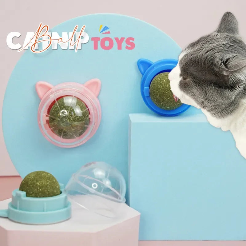 HOCOSHINE Rotatable Catnip Wall Ball Toy For Cats Teeth Cleaning