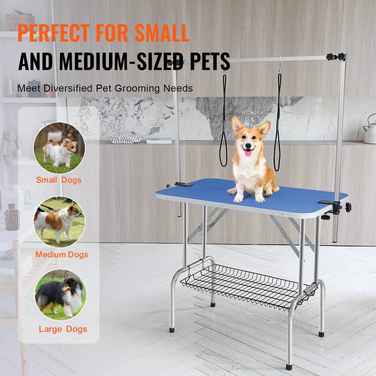 Foldable Metal Pet Grooming Table With Loop And Safety Clamp