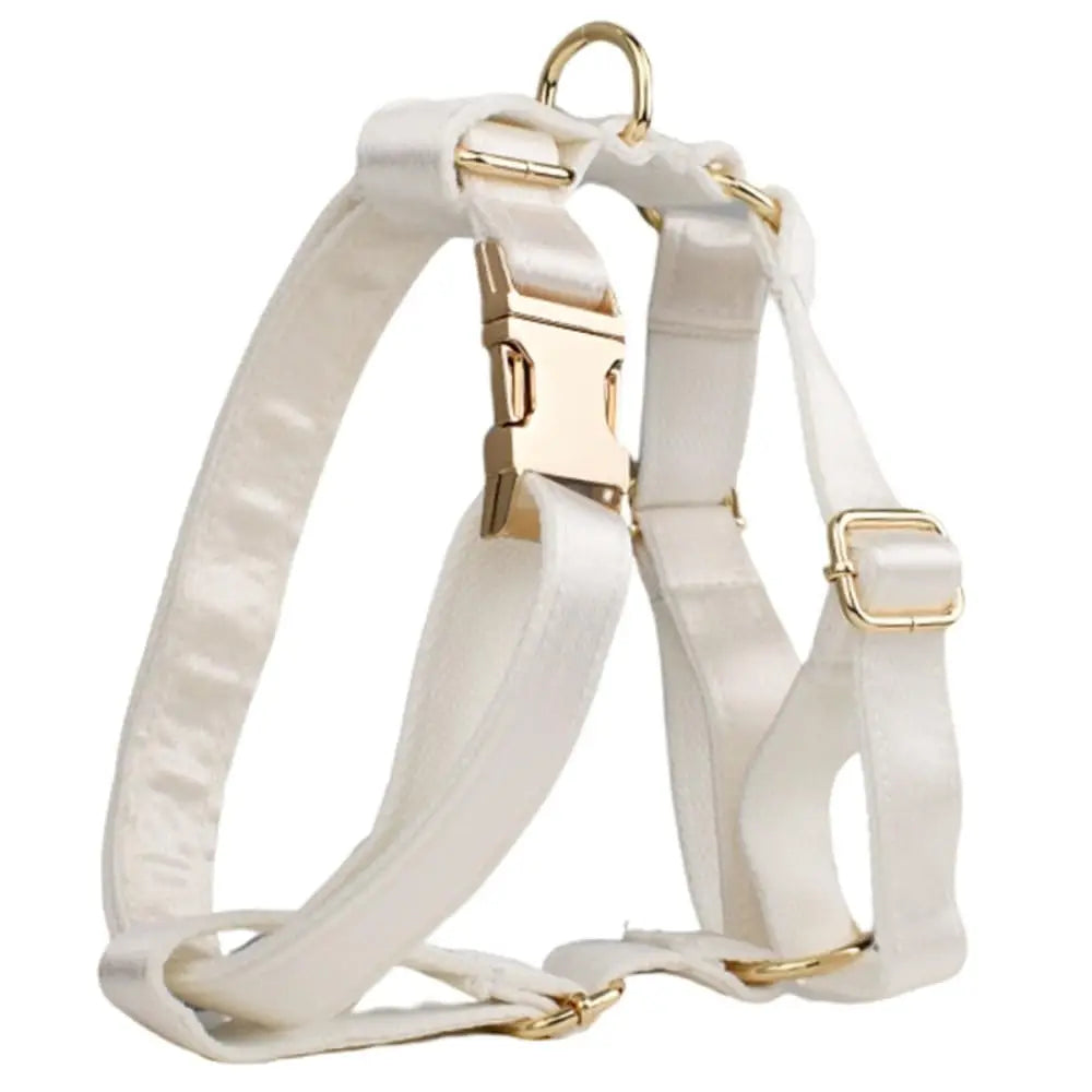 Personalized Adjustable Dog Collar With Name Tag And Leash
