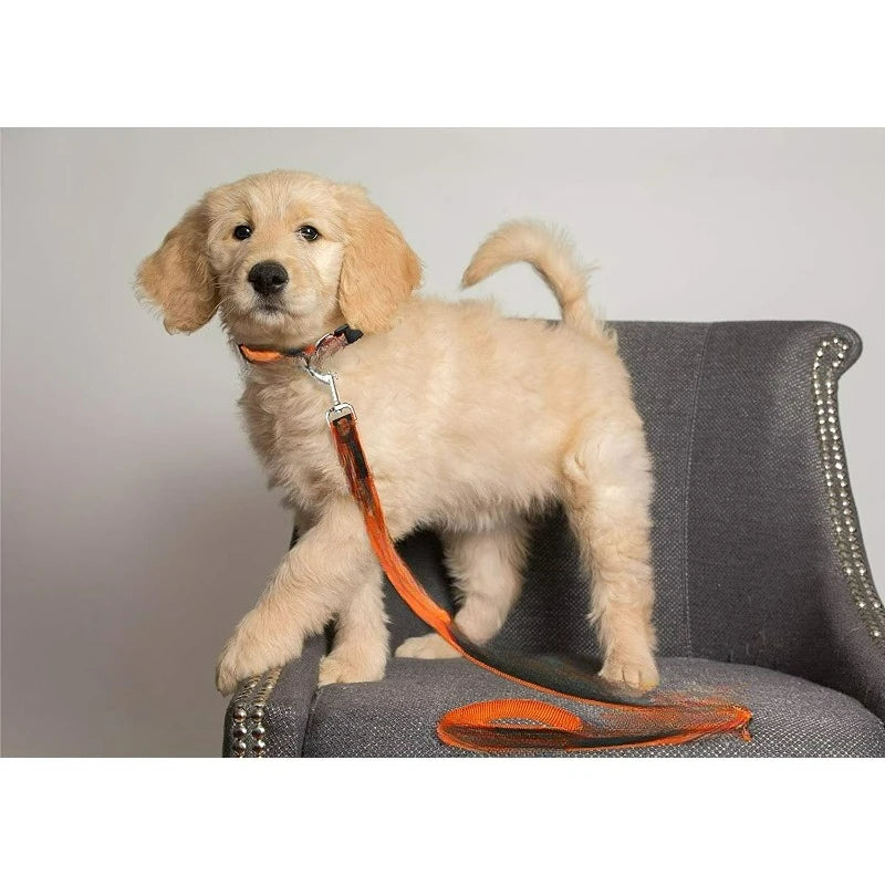 Cleveland Browns Heavy Duty Sports Leash for Dogs and Cats