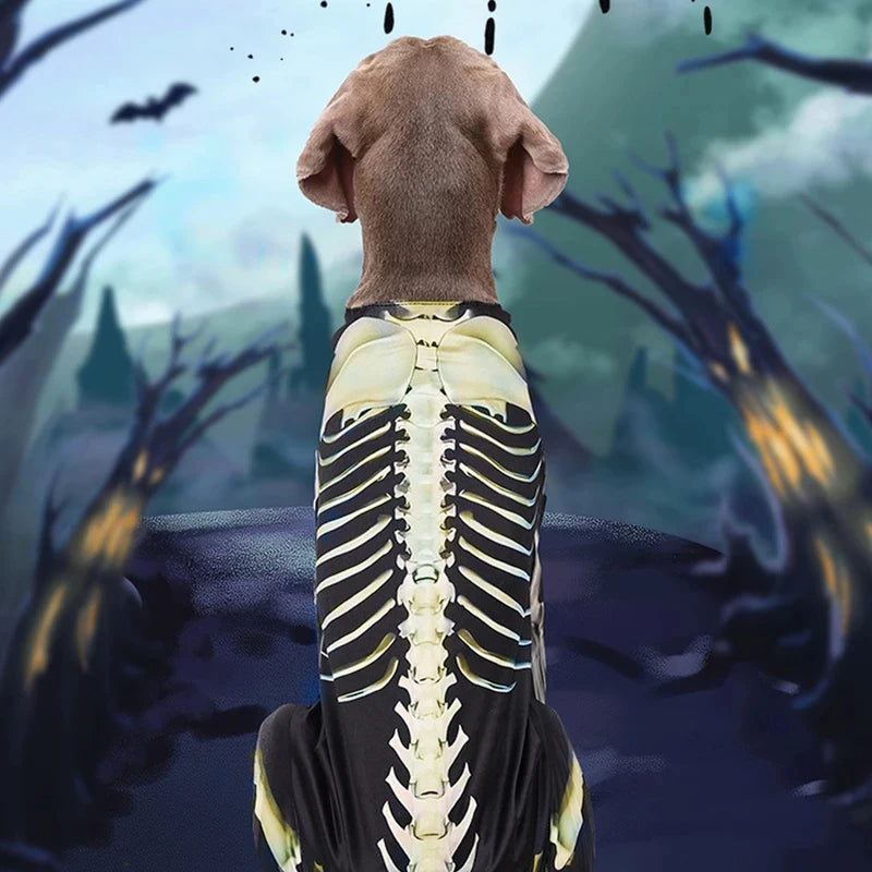 Halloween Skeleton Dog Costume With Comfortable Pet Transformation Outfit