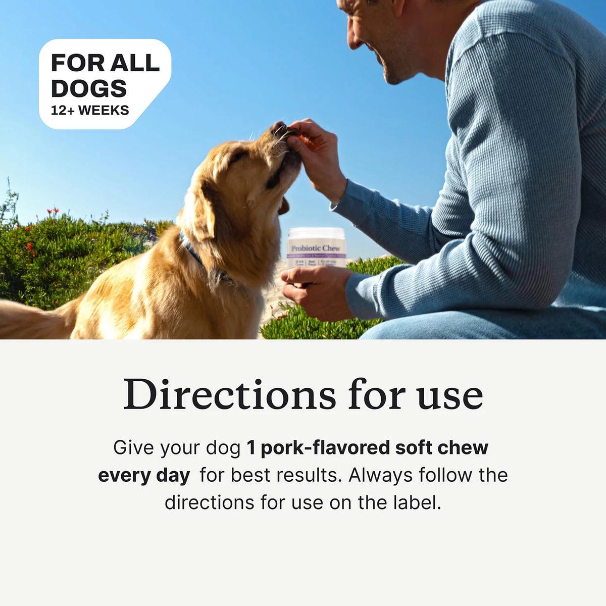 Advanced Dog Probiotic Chews For Comprehensive Digestive Support