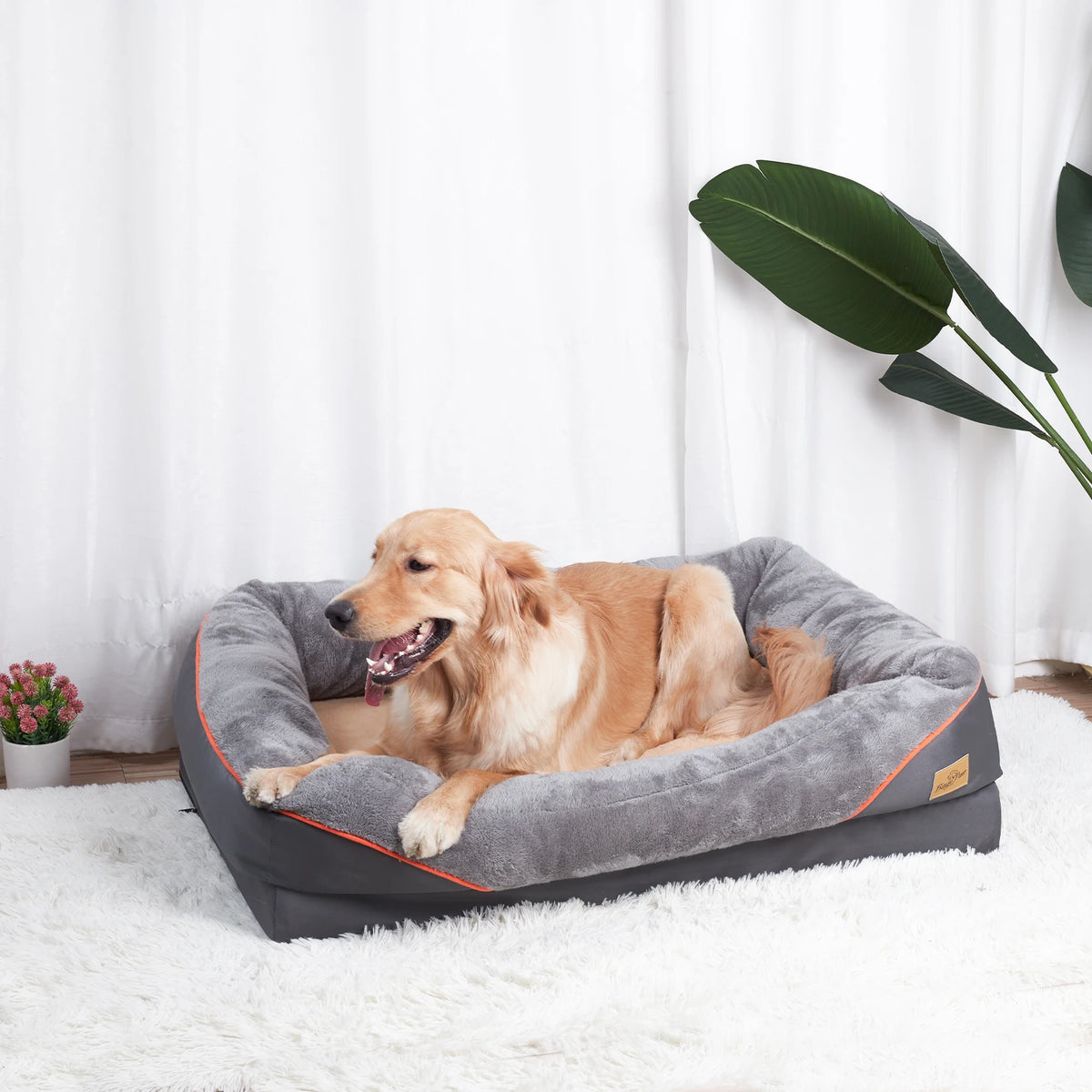 BINGOPAW Removable Washable Waterproof Fleece Dog Bed With Foam Support