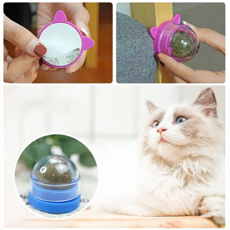 HOCOSHINE Rotatable Catnip Wall Ball Toy For Cats Teeth Cleaning