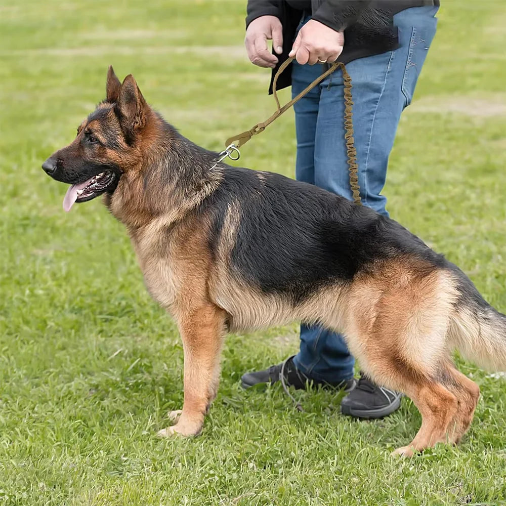 Adjustable Tactical Dog Leash With Quick Release Dual Handle Nylon Rope