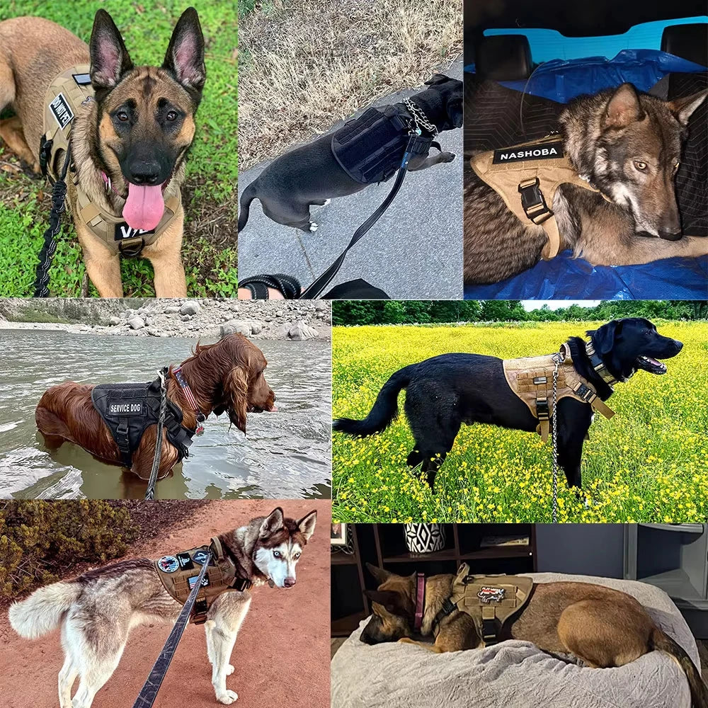 PETRAVEL Tactical Dog Harness Vest With Padded Quick Release Buckle