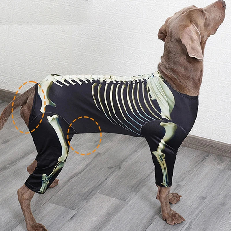 Halloween Skeleton Dog Costume With Comfortable Pet Transformation Outfit