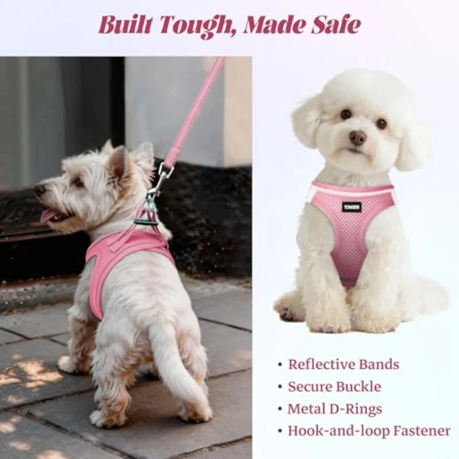 Adjustable Reflective No-Pull Dog Harness and Leash Set for Outdoor Walks