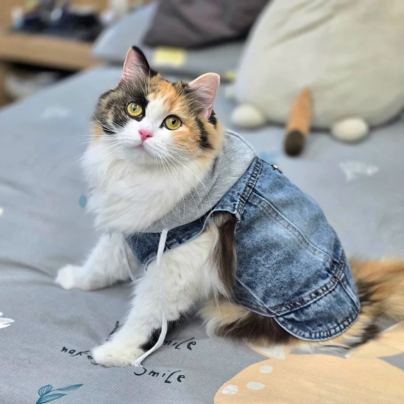 Hoopreety Dog Denim Harness Jacket Vest With Hood and Leash Ring