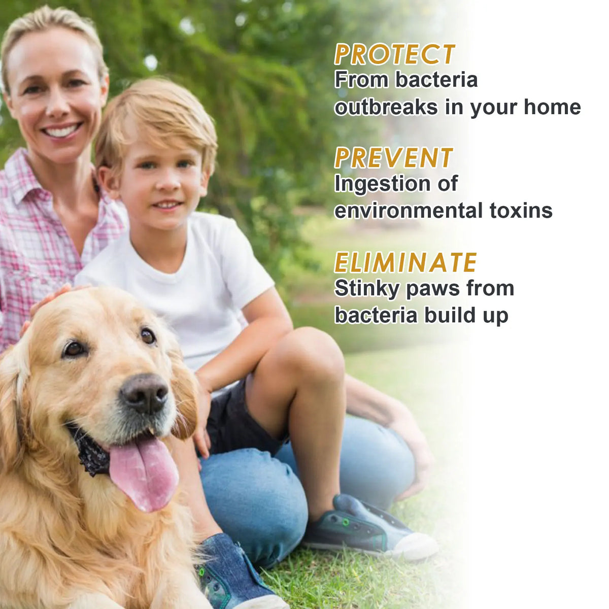Yegbong Waterless Pet Paw Dry Shampoo Gently Cleans Pets