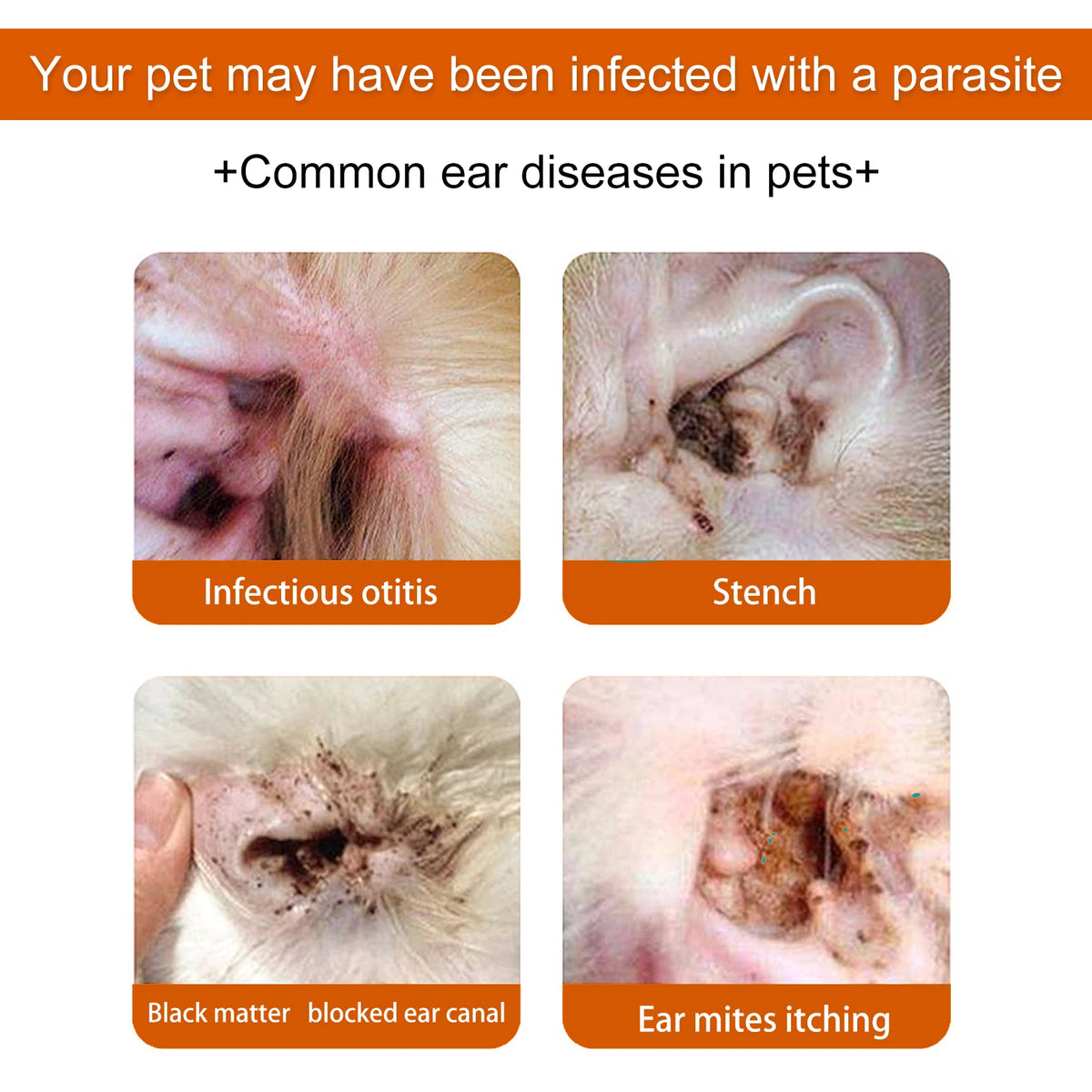 Yegbong Gentle Ear Cleaning Wipes For Dogs And Cats
