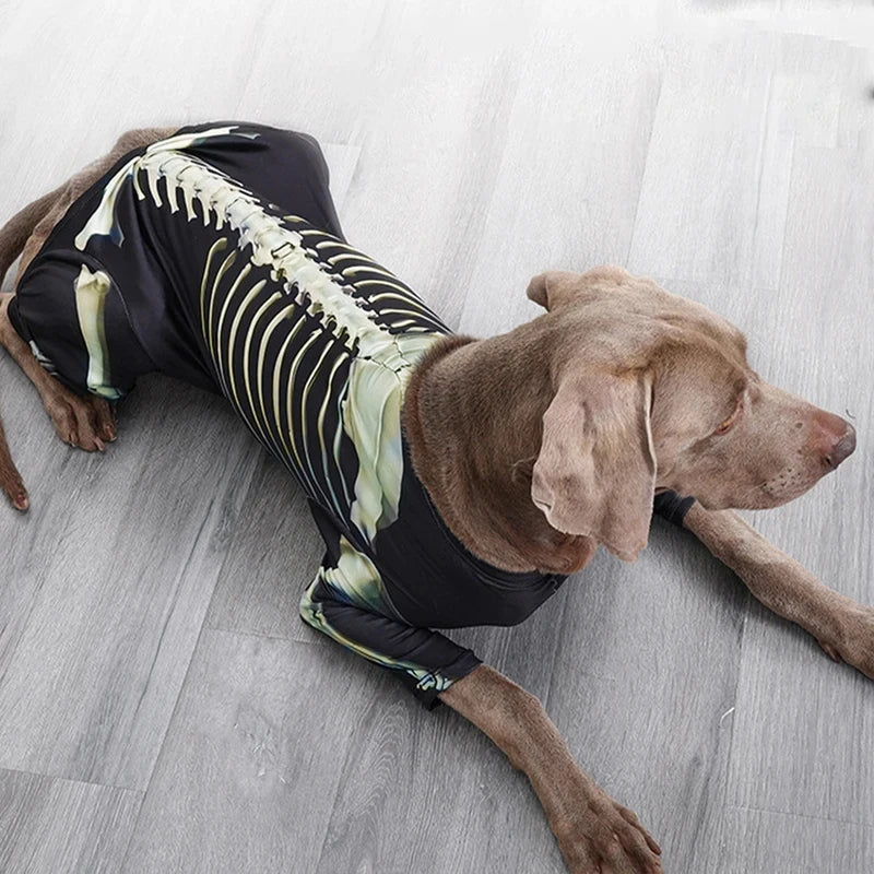 Halloween Skeleton Dog Costume With Comfortable Pet Transformation Outfit