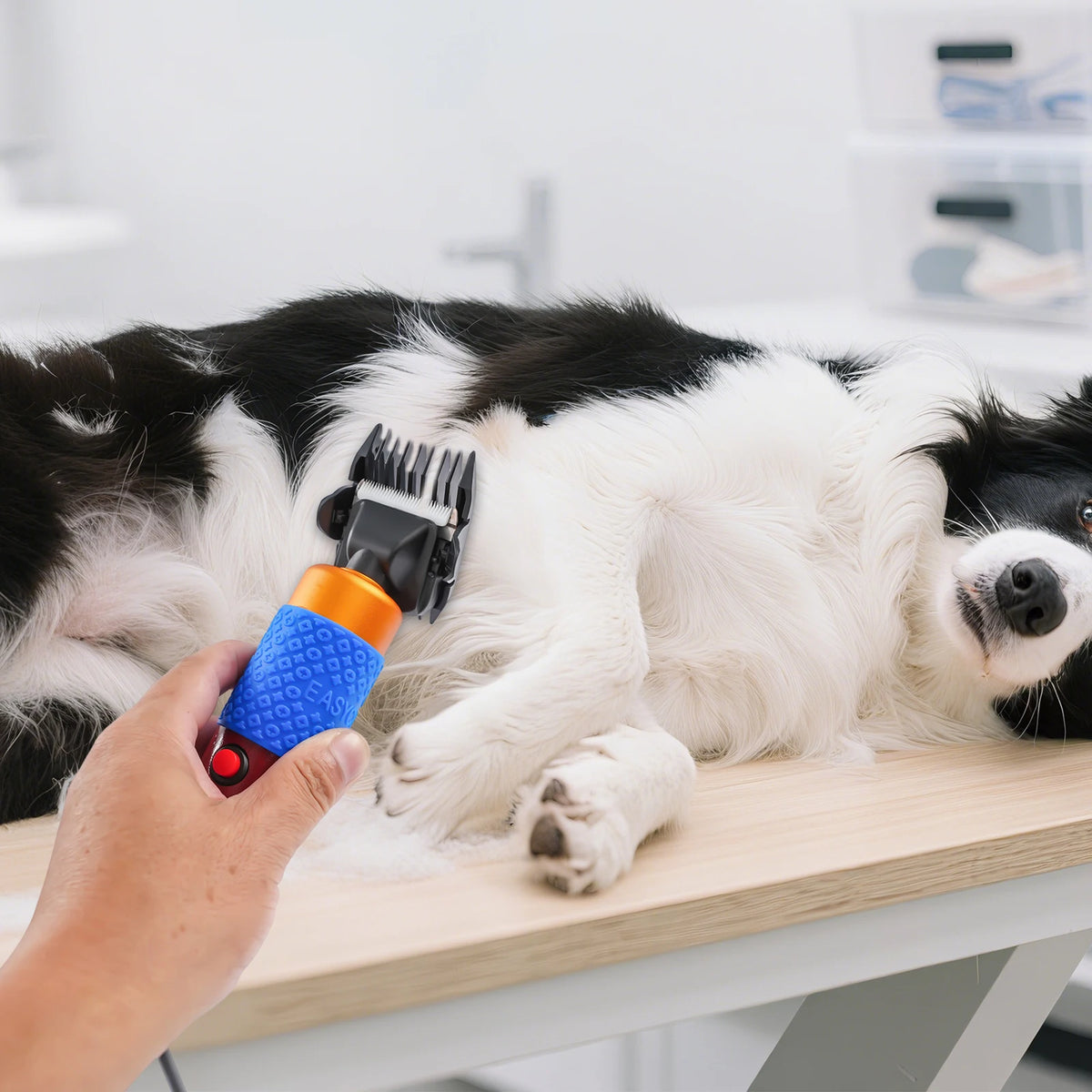 Electric Sheep And Goat Grooming Clippers For Farm Animals