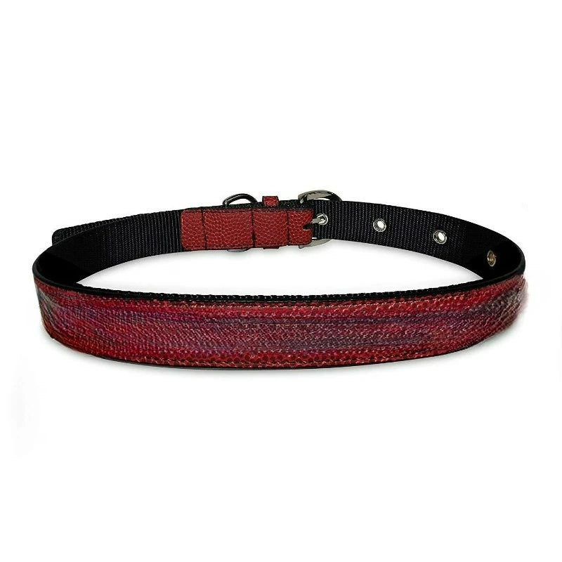 Premium PVC Leather Dog Collar With Signature Design