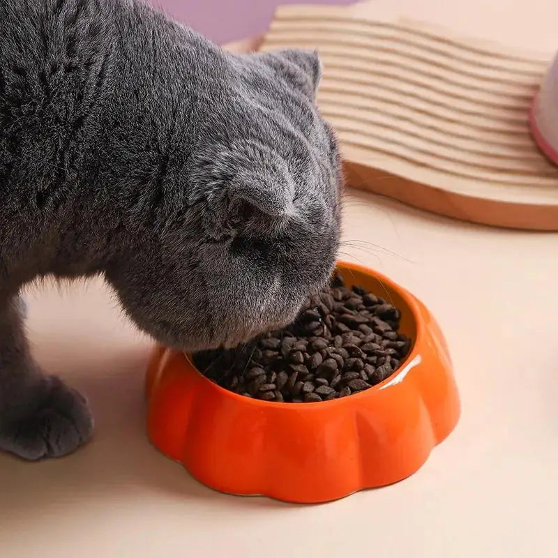 Premium Watermelon And Strawberry Shape Pet Food Bowl