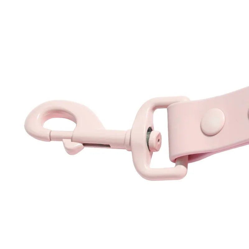 Water Resistant TPU Standard Dog Leash For Everyday Walks