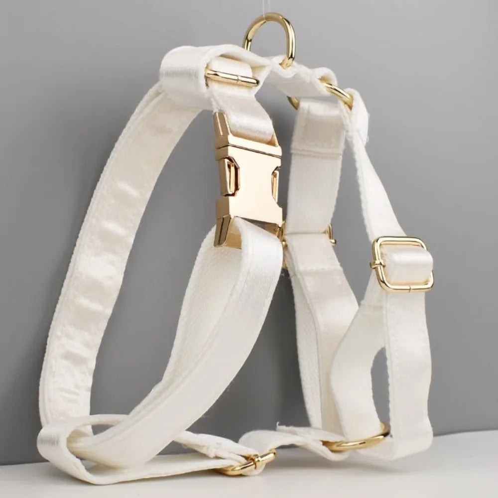 Personalized Adjustable Dog Collar With Name Tag And Leash
