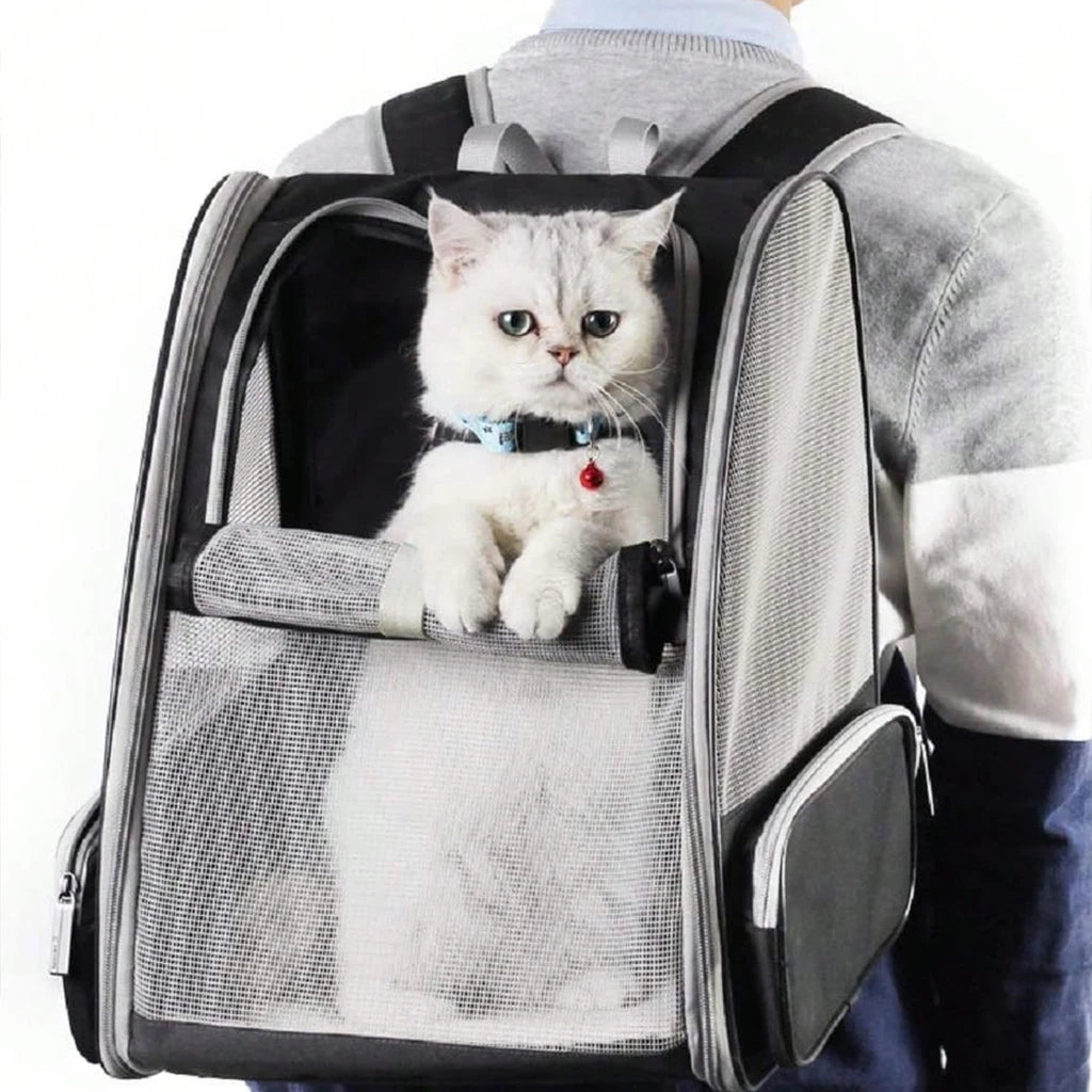 Breathable Mesh Pet Carrier Backpack for Cats and Dogs