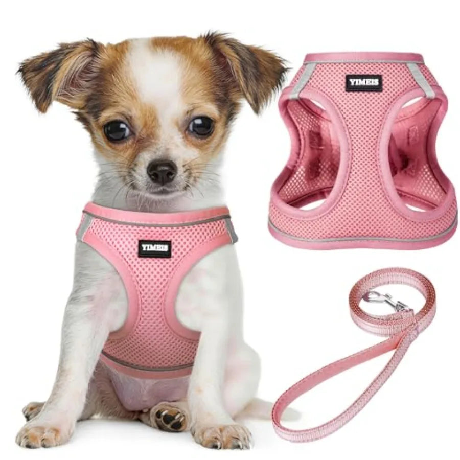 Adjustable Reflective No-Pull Dog Harness and Leash Set for Outdoor Walks