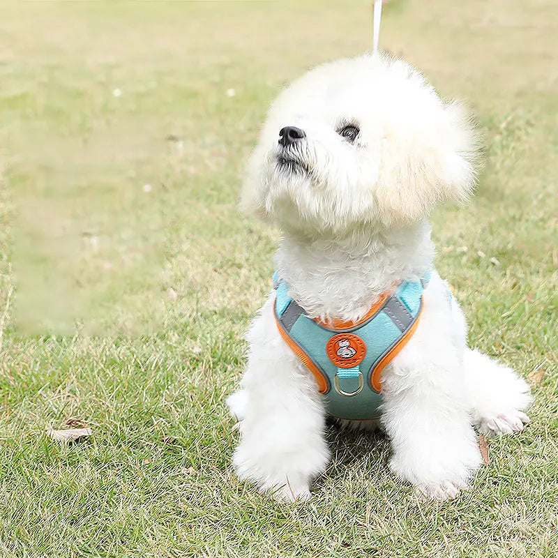 Adjustable No Pull Dog Harness And Leash Set For Walking