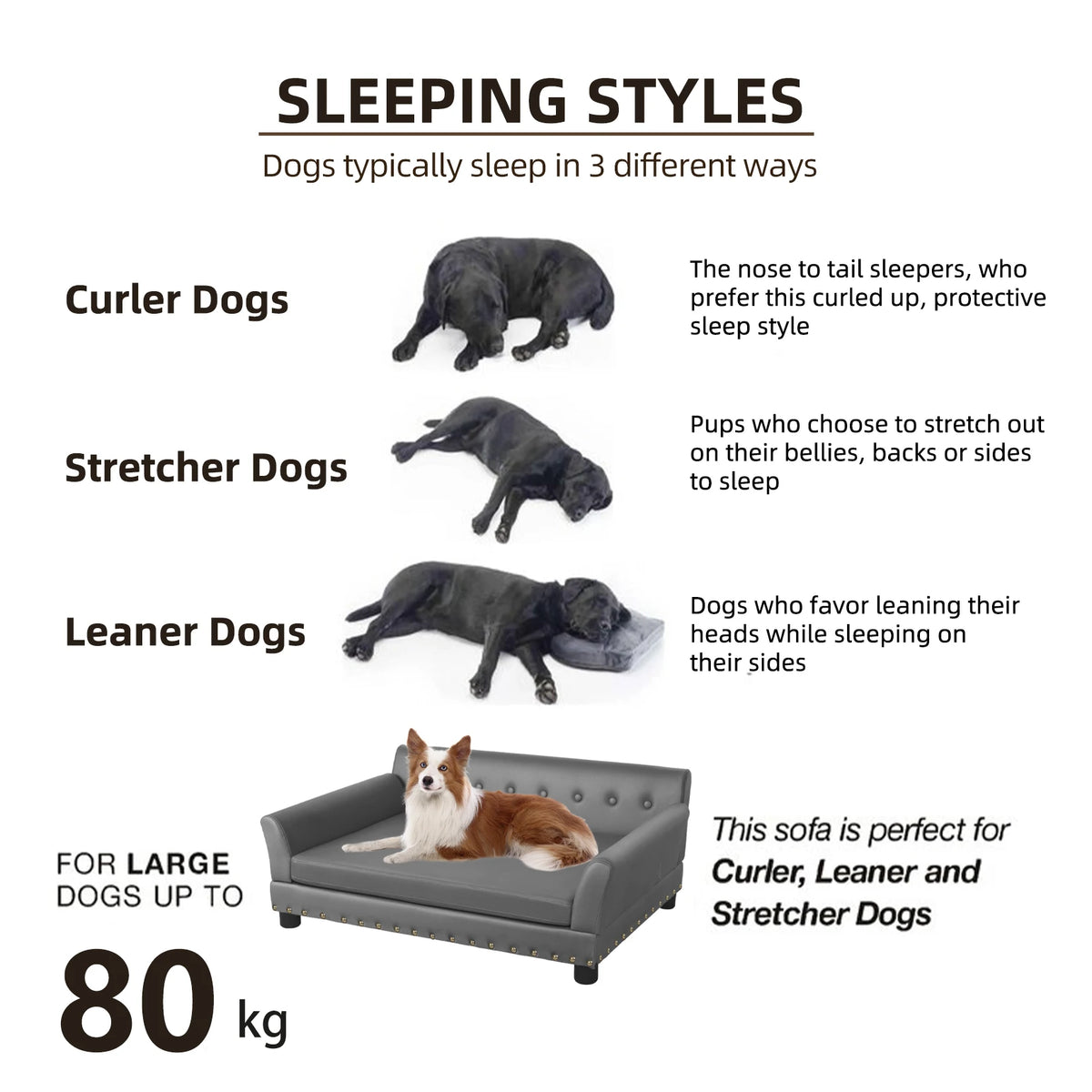 BINGOPAW Elevated Dog Sofa Bed With Waterproof Removable Cushion