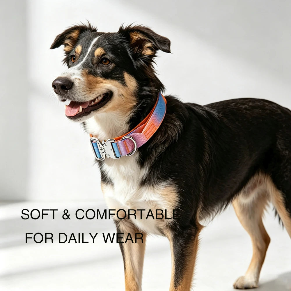 Tactical Dog Collar With Handle For Training And Outdoor Walking