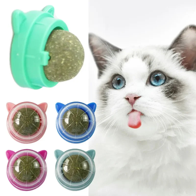 HOCOSHINE Rotatable Catnip Wall Ball Toy For Cats Teeth Cleaning