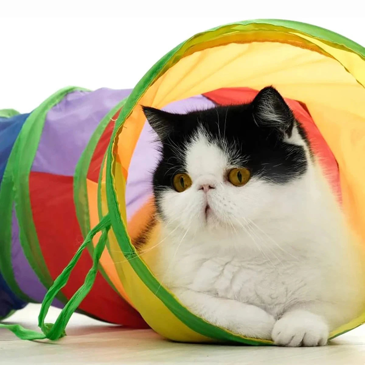 Foldable Cat Tunnel Toy For Interactive Indoor Play