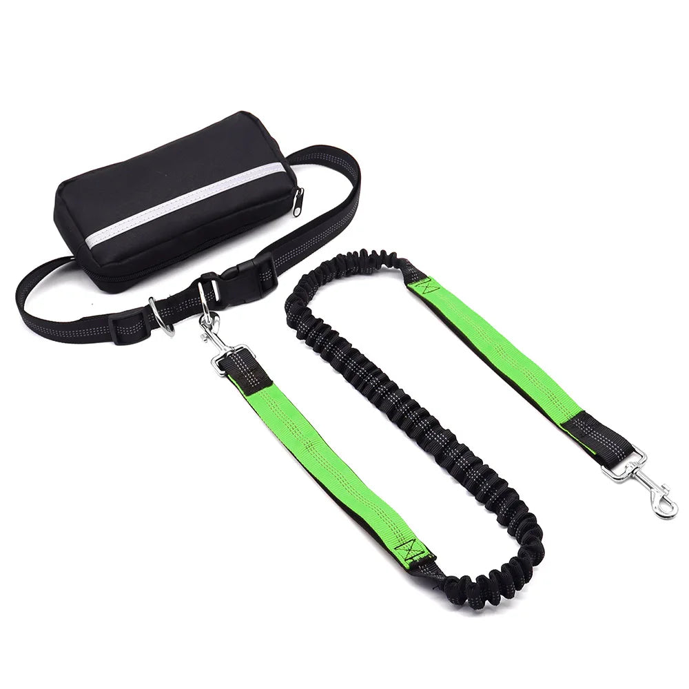 Hands Free Dog Leash With Belt Reflective Stitching And Pouch