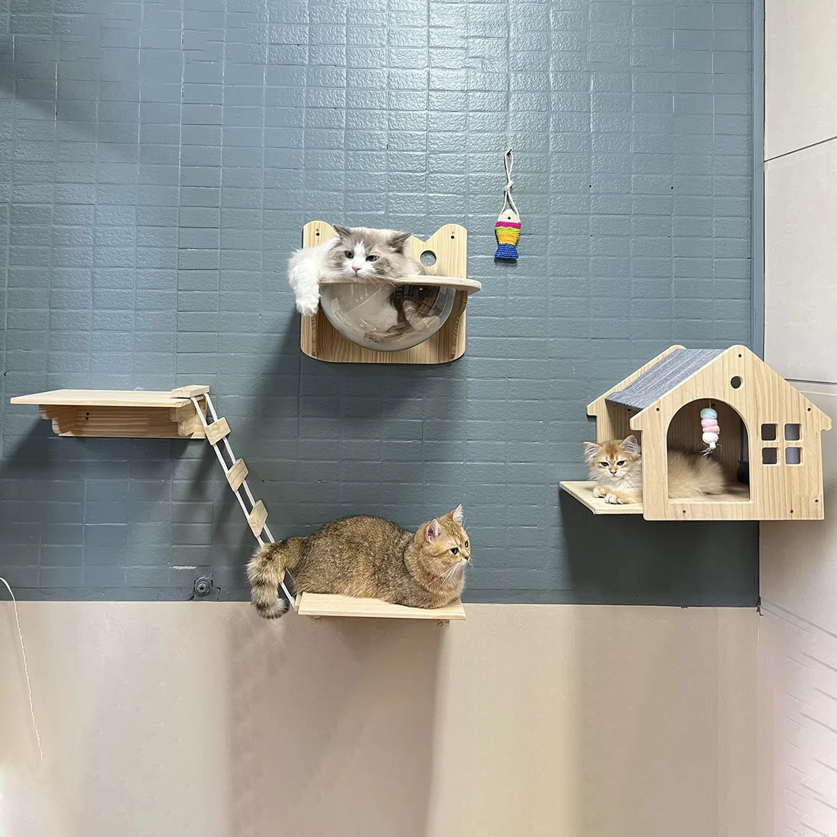 CWV Wooden Wall Mounted Cat Villa Platform Resting Shelf