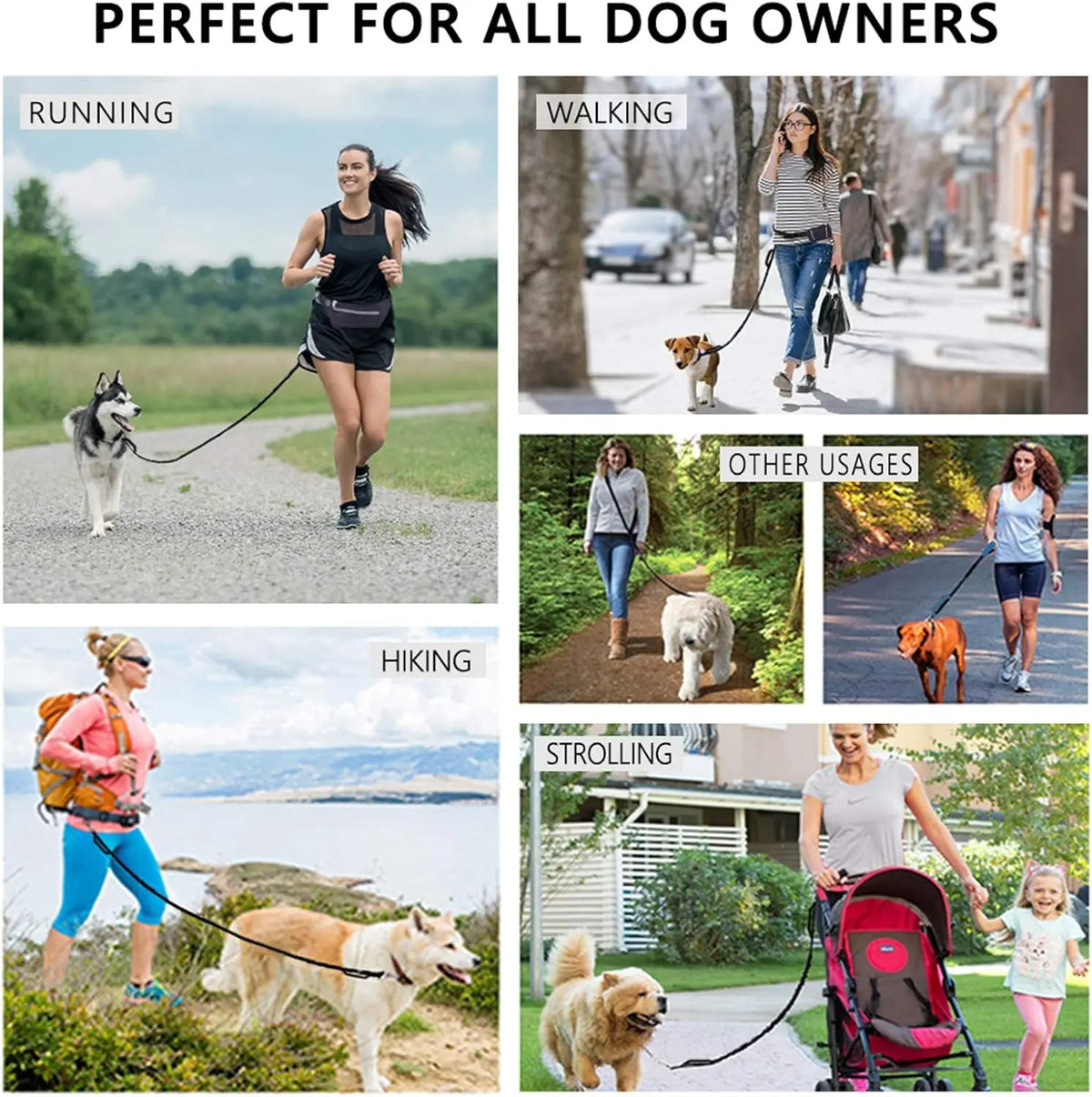 Hands Free Dog Leash With Waist Belt And Reflective Handles